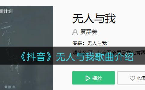 《抖阴》无人与我歌曲介绍 抖阴歌曲歌词