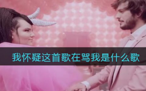 我怀疑这首歌在骂我是什么歌 Bassa&nbsp;Sababa歌曲歌词