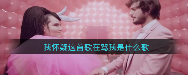 我怀疑这首歌在骂我是什么歌 Bassa&nbsp;Sababa歌曲歌词