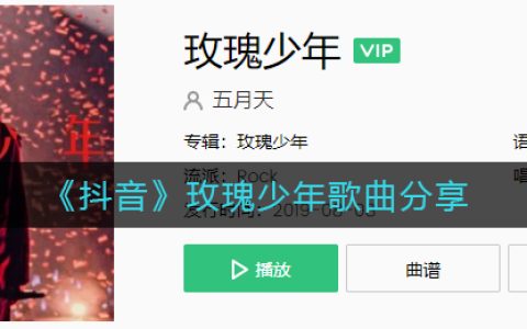 《抖阴》玫瑰少年歌曲分享 抖阴歌曲歌词