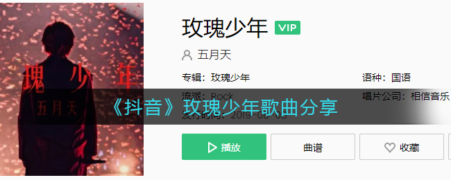 《抖阴》玫瑰少年歌曲分享 抖阴歌曲歌词