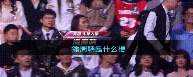 潘周聃什么梗 潘周聃什么意思