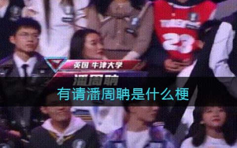 有请潘周聃什么梗 有请潘周聃什么意思