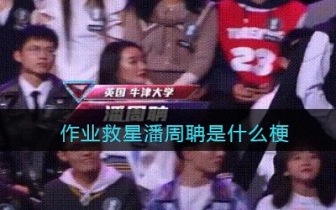 作业救星潘周聃什么梗 作业救星潘周聃什么意思