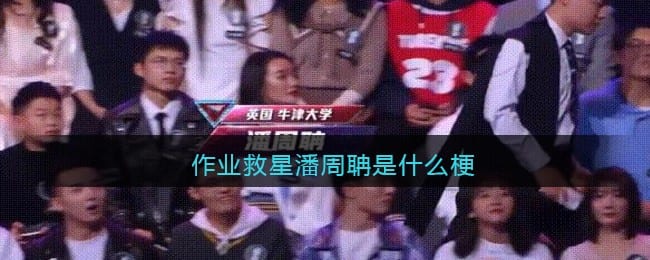 作业救星潘周聃什么梗 作业救星潘周聃什么意思