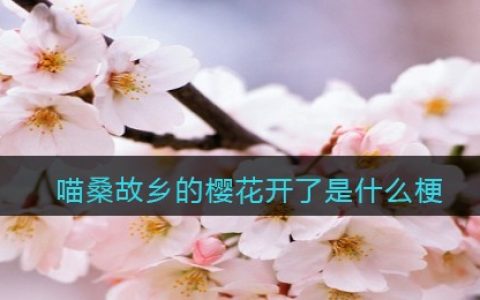 喵桑故乡的樱花开了什么梗 喵桑故乡的樱花开了是什么意思