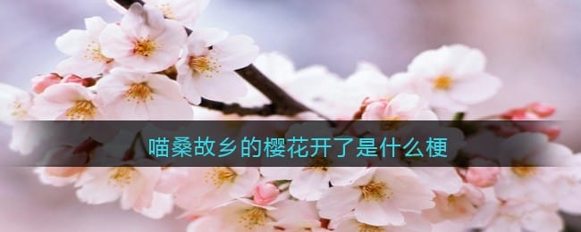喵桑故乡的樱花开了什么梗 喵桑故乡的樱花开了是什么意思