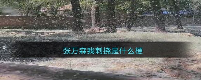张万森我刺挠是什么梗 抖阴张万森我刺挠是什么意思