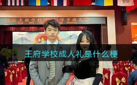 王府学校成人礼是什么梗 抖阴王府学校成人礼是什么意思