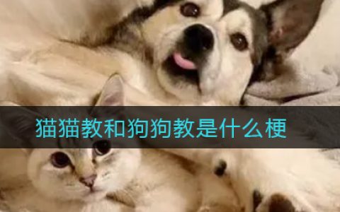 圣火喵喵教 皓月狗狗教