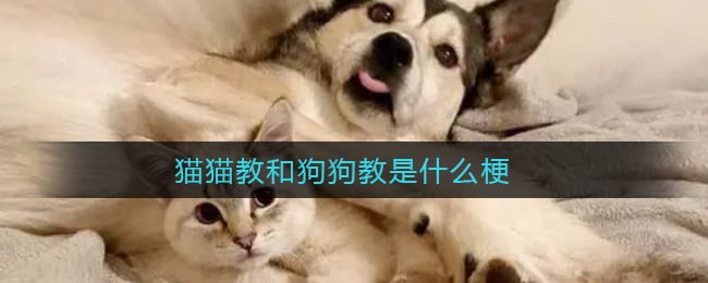圣火喵喵教 皓月狗狗教