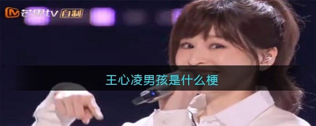 王心凌男孩是什么梗 王心凌男孩是什么意思