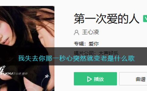 我失去你那一秒心突然就变老是什么歌 第一次爱的人&nbsp;歌曲歌词