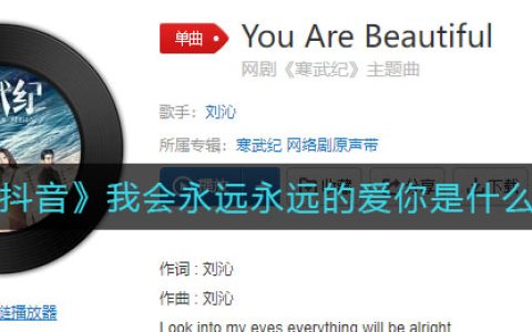 《抖阴》我会永远永远的爱你是什么歌 抖阴歌曲歌词
