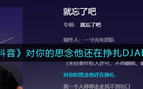 《抖阴》对你的思念他还在挣扎DJAh版 抖阴歌曲歌词