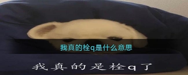 我真的栓q是什么意思 我真的会谢是什么梗