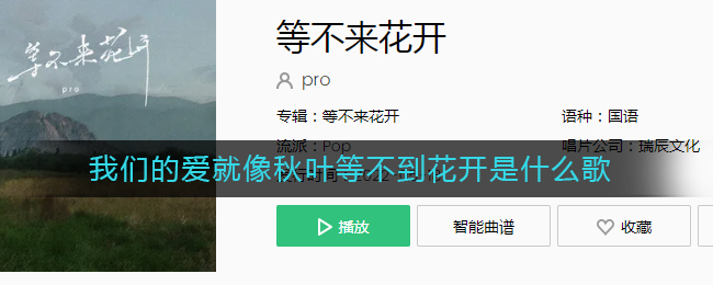 我们的爱就像秋叶等不到花开是什么歌 等不来花开歌曲歌词