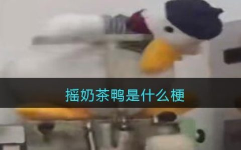 摇奶茶鸭是什么梗 摇奶茶鸭是什么意思