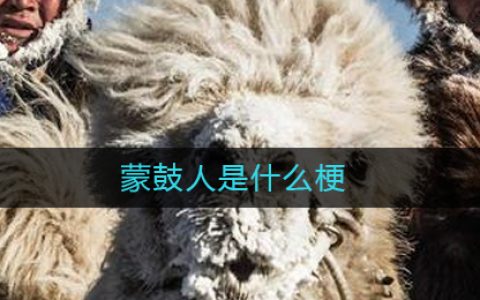 蒙鼓人是什么梗-蒙鼓人蒙鼓族