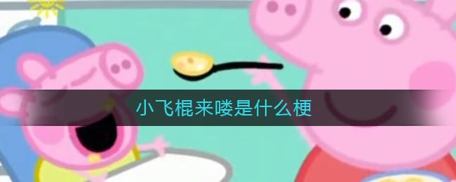小飞棍来喽是什么梗-小飞棍来喽什么意思