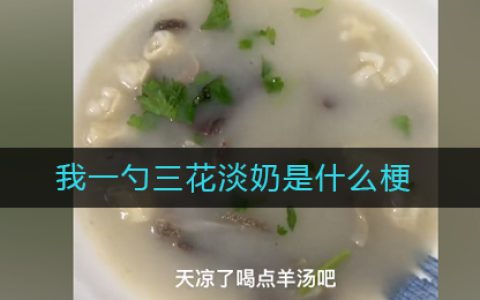 我一勺三花淡奶是什么梗-我一勺三花淡奶是什么意思