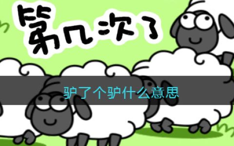 驴了个驴什么意思-抖阴驴了个驴热梗含义分享