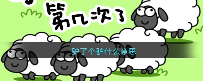 驴了个驴什么意思-抖阴驴了个驴热梗含义分享