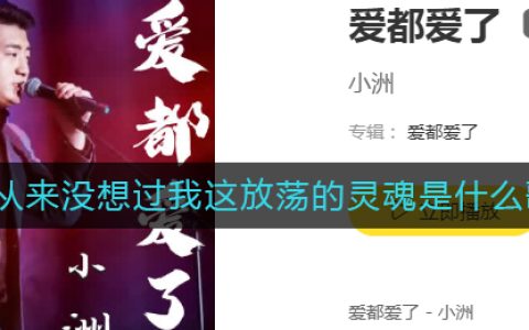 我从来没想过我这放荡的灵魂是什么歌 爱都爱了歌曲歌词