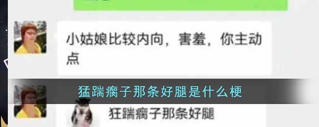 猛踹瘸子那条好腿是什么梗-猛踹瘸子那条好腿梗含义出处