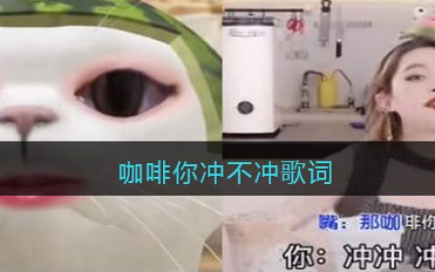 咖啡你冲不冲歌词 咖啡你冲不冲歌曲歌词
