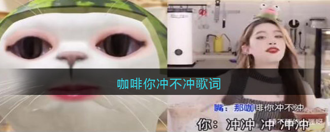 咖啡你冲不冲歌词 咖啡你冲不冲歌曲歌词