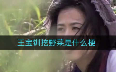 王宝钏挖野菜是什么梗-王宝钏挖野菜什么意思