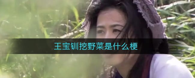 王宝钏挖野菜是什么梗-王宝钏挖野菜什么意思