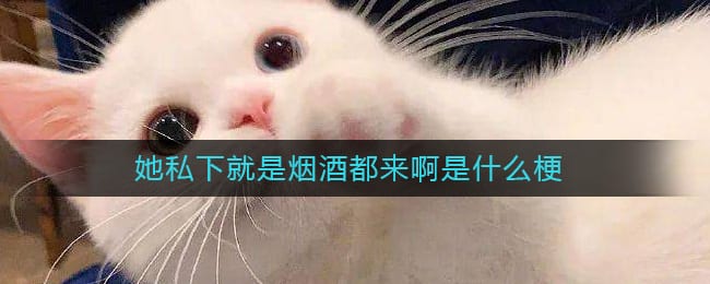 她私下就是烟酒都来啊是什么梗-她私下就是烟酒都来啊什么意思