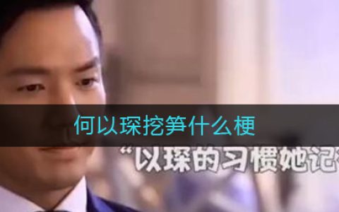 何以琛挖笋什么梗-何以琛挖笋什么意思