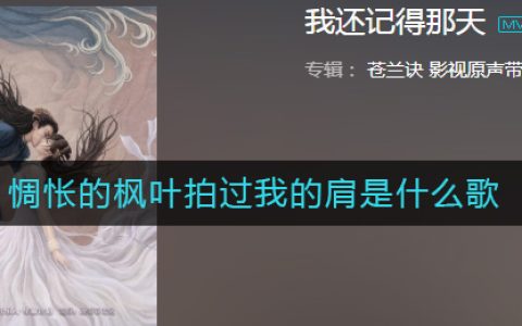 惆怅的枫叶拍过我的肩是什么歌 苍兰诀歌曲歌词