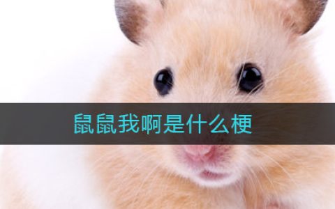鼠鼠我啊是什么梗-鼠鼠我啊是什么意思