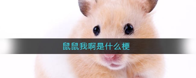 鼠鼠我啊是什么梗-鼠鼠我啊是什么意思