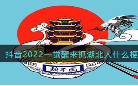 抖阴2022一觉醒来抓湖北人什么梗/意思-抖阴一觉醒来抓湖北人是真的吗
