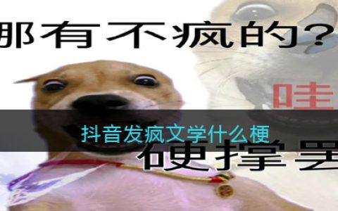抖阴发疯文学什么梗-抖阴发疯文学什么意思含义出处