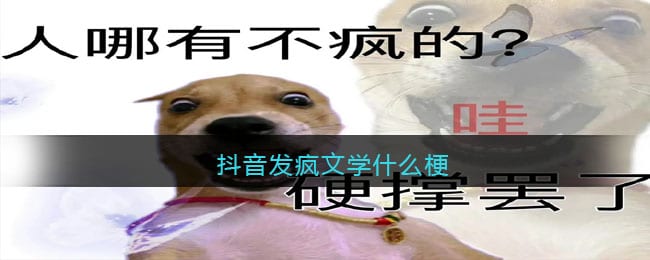 抖阴发疯文学什么梗-抖阴发疯文学什么意思含义出处