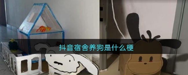 抖阴宿舍养狗是什么梗-抖阴宿舍养狗是真的吗