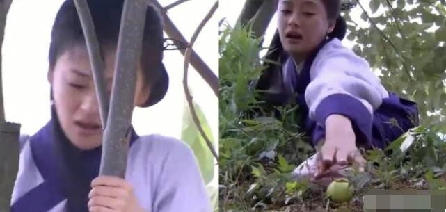 秦香莲摘野果是什么梗-秦香莲摘野果是什么意思图2