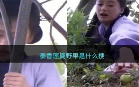 秦香莲摘野果是什么梗-秦香莲摘野果是什么意思