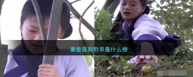秦香莲摘野果是什么梗-秦香莲摘野果是什么意思图