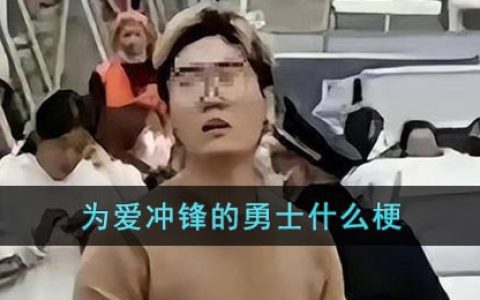 为爱冲锋的勇士什么梗-为爱冲锋是什么意思