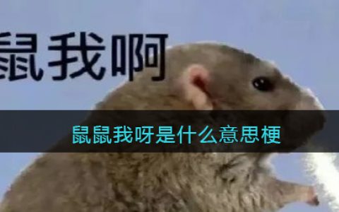 鼠鼠我呀是什么意思梗-鼠鼠我呀原梗出自哪