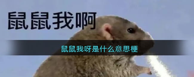 鼠鼠我呀是什么意思梗-鼠鼠我呀原梗出自哪