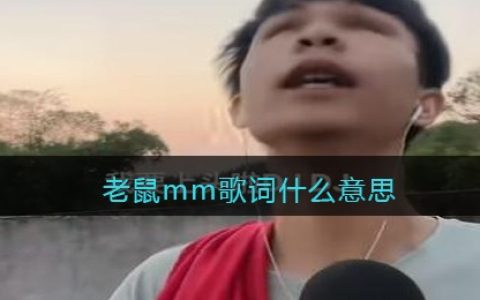 老鼠mm歌词什么意思-抖阴老鼠mm歌词DJ什么意思