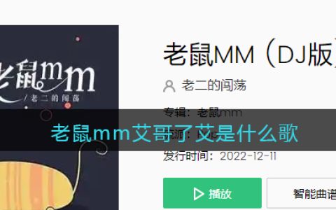 老鼠mm艾哥了艾是什么歌 老鼠MM歌曲歌词